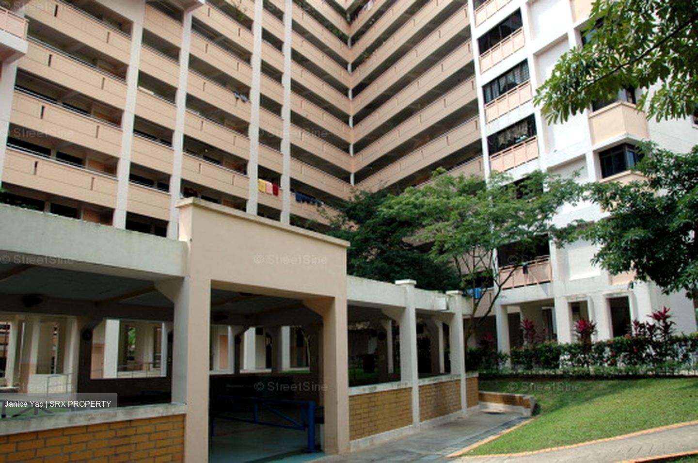 Blk 517 Pangshan Valley (Bukit Panjang), HDB Executive #606817021